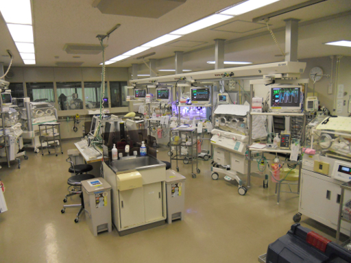 syou_nicu